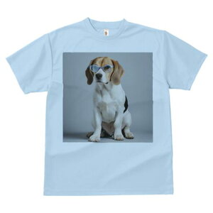 r[O TVc fB[X t@  t  vg JWA 킢 lԗp h ̃fUC ʔ Kl r[O