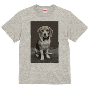 r[O TVc fB[X t@  t  vg JWA 킢 lԗp h ̃fUC ʔ lN^C r[O