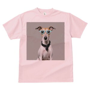 C^AO[nEh TVc fB[X t@  t  vg JWA 킢 lԗp h ̃fUC ʔ Kl C^AO[nEh lN^C