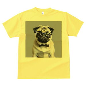 pO TVc Y LbY t@  t  vg JWA 킢 lԗp h ̃fUC ʔ Kl pO lN^C