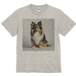 VFbghV[vhbO TVc fB[X t@  t  vg JWA 킢 lԗp h ̃fUC ʔ Kl VFbghV[vhbO