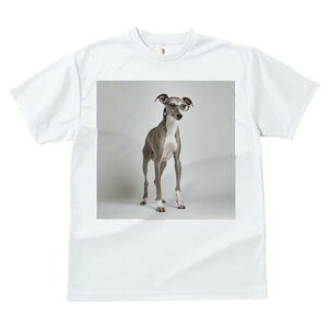 C^AO[nEh TVc Y LbY t@  t  vg JWA 킢 lԗp h ̃fUC ʔ Kl C^AO[nEh