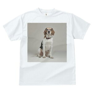 r[O TVc fB[X t@  t  vg JWA 킢 lԗp h ̃fUC ʔ Kl r[O