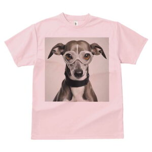 C^AO[nEh TVc Y LbY t@  t  vg JWA 킢 lԗp h ̃fUC ʔ Kl C^AO[nEh 