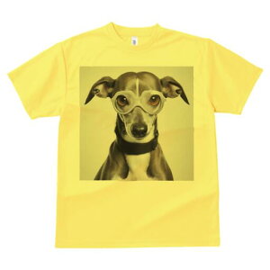 C^AO[nEh TVc Y LbY t@  t  vg JWA 킢 lԗp h ̃fUC ʔ Kl C^AO[nEh 