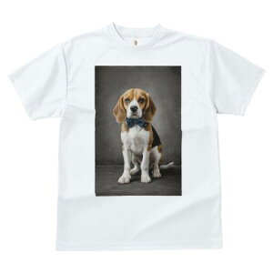 r[O TVc fB[X t@  t  vg JWA 킢 lԗp h ̃fUC ʔ lN^C r[O