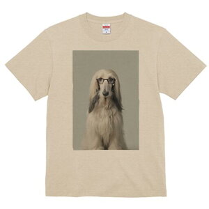 AtKnEh TVc Y LbY t@  t  vg JWA 킢 lԗp h ̃fUC ʔ Kl AtKnEh