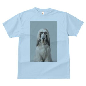 AtKnEh TVc Y LbY t@  t  vg JWA 킢 lԗp h ̃fUC ʔ Kl AtKnEh