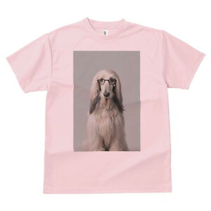 AtKnEh TVc fB[X t@  t  vg JWA 킢 lԗp h ̃fUC ʔ Kl AtKnEh