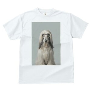 AtKnEh TVc Y LbY t@  t  vg JWA 킢 lԗp h ̃fUC ʔ Kl AtKnEh