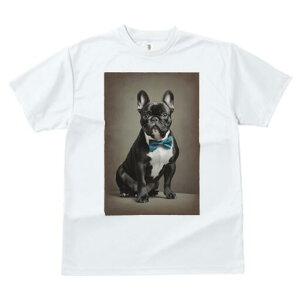 t`uhbO TVc fB[X t@  t  vg JWA 킢 lԗp h ̃fUC ʔ lN^C t`uhbO