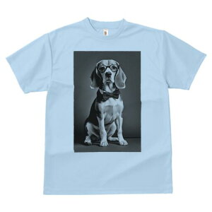 r[O TVc fB[X t@  t  vg JWA 킢 lԗp h ̃fUC ʔ Kl r[O lN^C