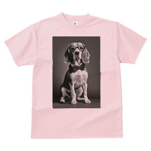 r[O TVc fB[X t@  t  vg JWA 킢 lԗp h ̃fUC ʔ Kl r[O lN^C