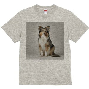 VFbghV[vhbO TVc fB[X t@  t  vg JWA 킢 lԗp h ̃fUC ʔ Kl VFbghV[vhbO