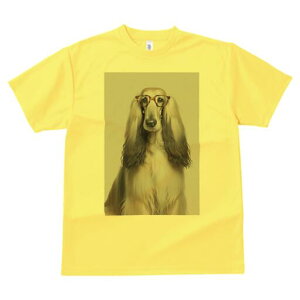 AtKnEh TVc Y LbY t@  t  vg JWA 킢 lԗp h ̃fUC ʔ Kl AtKnEh