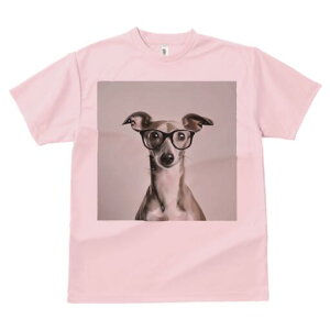 C^AO[nEh TVc fB[X t@  t  vg JWA 킢 lԗp h ̃fUC ʔ Kl C^AO[nEh