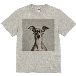 C^AO[nEh TVc Y LbY t@  t  vg JWA 킢 lԗp h ̃fUC ʔ Kl C^AO[nEh