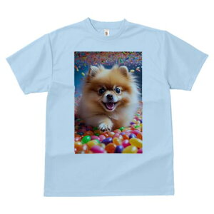 |jA TVc fB[X t@  t  vg JWA 킢 lԗp h ̃fUC ʔ LfB |jA Jt 킢 XC[c