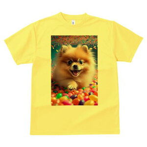 �|�����j�A�� T�V���c ���f�B�[�X ���t�@�� ���� �t�� ���� �v�����g �J�W���A�� ���킢�� �l�ԗp ���h ���������̃f�U�C�� �ʔ� �L�����f�B �|�����j�A�� �J���t�� ���킢�� �X�C�[�c