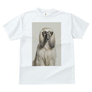 AtKnEh TVc fB[X t@  t  vg JWA 킢 lԗp h ̃fUC ʔ Kl AtKnEh