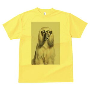 AtKnEh TVc fB[X t@  t  vg JWA 킢 lԗp h ̃fUC ʔ Kl AtKnEh