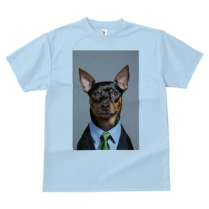 ~j`AsV[ TVc fB[X t@  t  vg JWA 킢 lԗp h ̃fUC ʔ X[c ~j`AsV[ lN^C rWlX