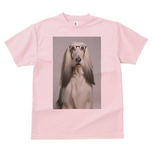 AtKnEh TVc fB[X t@  t  vg JWA 킢 lԗp h ̃fUC ʔ Kl AtKnEh