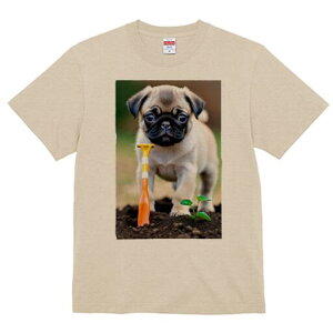 pO TVc fB[X t@  t  vg JWA 킢 lԗp h ̃fUC ʔ K[fjO pO  A y