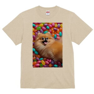 |jA TVc fB[X t@  t  vg JWA 킢 lԗp h ̃fUC ʔ [[r[Y |jA Jt XC[c َq