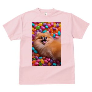 |jA TVc Y LbY t@  t  vg JWA 킢 lԗp h ̃fUC ʔ [[r[Y |jA Jt XC[c 