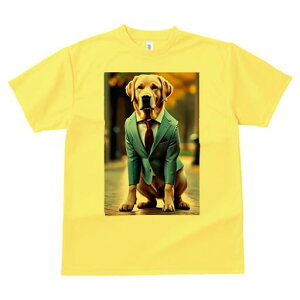 uh[go[ TVc fB[X t@  t  vg JWA 킢 lԗp h ̃fUC ʔ X[c uh[go[ lN^C