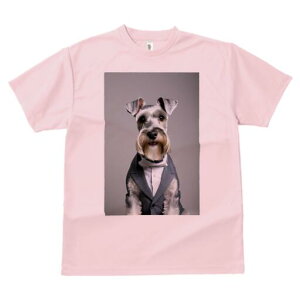 ~j`AViEU[ TVc fB[X t@  t  vg JWA 킢 lԗp h ̃fUC ʔ X[c ~j`AViEU[ lN^C