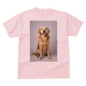 S[fgo[ TVc fB[X t@  t  vg JWA 킢 lԗp h ̃fUC ʔ S[fgo[