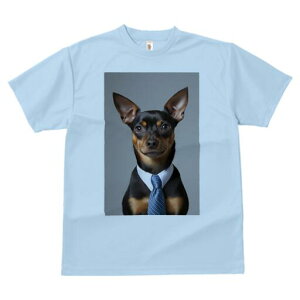 ~j`AsV[ TVc fB[X t@  t  vg JWA 킢 lԗp h ̃fUC ʔ lN^C ~j`AsV[ Vc