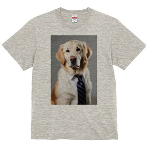 S[fgo[ TVc fB[X t@  t  vg JWA 킢 lԗp h ̃fUC ʔ CVc S[fgo[ lN^C