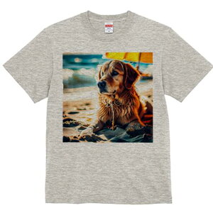 S[fgo[ TVc fB[X t@  t  vg JWA 킢 lԗp h ̃fUC ʔ r[` S[fgo[ C l 