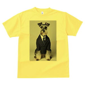 ~j`AViEU[ TVc fB[X t@  t  vg JWA 킢 lԗp h ̃fUC ʔ X[c ~j`AViEU[ lN^C rW