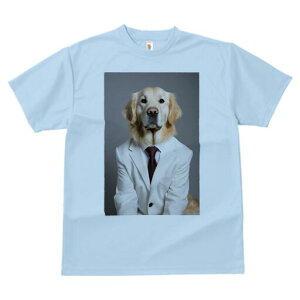 S[fgo[ TVc fB[X t@  t  vg JWA 킢 lԗp h ̃fUC ʔ X[c S[fgo[ lN^C