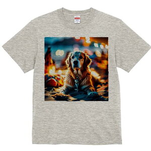 S[fgo[ TVc fB[X t@  t  vg JWA 킢 lԗp h ̃fUC ʔ r[` S[fgo[  v 