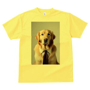 S[fgo[ TVc fB[X t@  t  vg JWA 킢 lԗp h ̃fUC ʔ lN^C S[fgo[ CVc