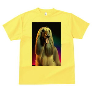 AtKnEh TVc fB[X t@  t  vg JWA 킢 lԗp h ̃fUC ʔ AtKnEh