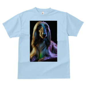 AtKnEh TVc fB[X t@  t  vg JWA 킢 lԗp h ̃fUC ʔ AtKnEh