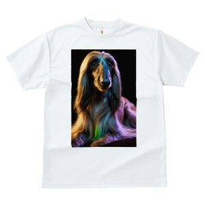 AtKnEh TVc fB[X t@  t  vg JWA 킢 lԗp h ̃fUC ʔ AtKnEh