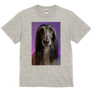 AtKnEh TVc fB[X t@  t  vg JWA 킢 lԗp h ̃fUC ʔ AtKnEh