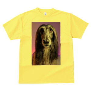 AtKnEh TVc fB[X t@  t  vg JWA 킢 lԗp h ̃fUC ʔ AtKnEh