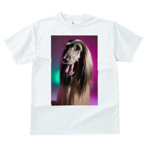 AtKnEh TVc fB[X t@  t  vg JWA 킢 lԗp h ̃fUC ʔ AtKnEh