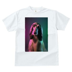 AtKnEh TVc fB[X t@  t  vg JWA 킢 lԗp h ̃fUC ʔ AtKnEh