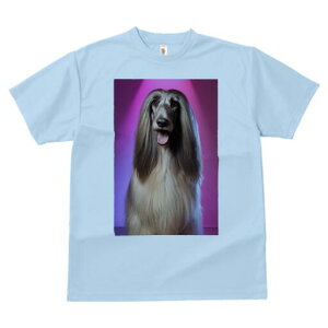 AtKnEh TVc fB[X t@  t  vg JWA 킢 lԗp h ̃fUC ʔ AtKnEh