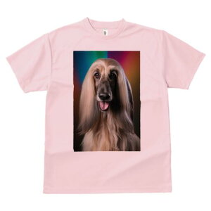 AtKnEh TVc fB[X t@  t  vg JWA 킢 lԗp h ̃fUC ʔ AtKnEh