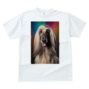 AtKnEh TVc fB[X t@  t  vg JWA 킢 lԗp h ̃fUC ʔ AtKnEh